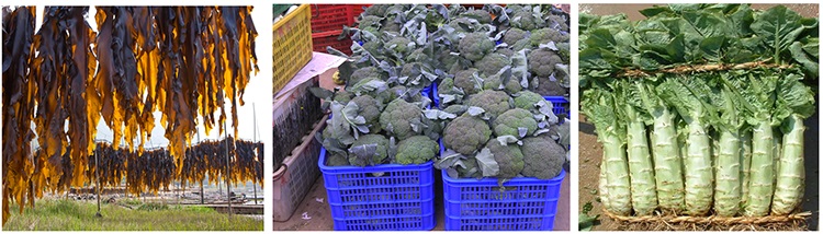 &#20048;&#40060;&#39029;&#38754;&#22312;&#32447;&#30331;&#24405;&#45;&#20048;&#40060;&#40;&#20013;&#22269;&#41;